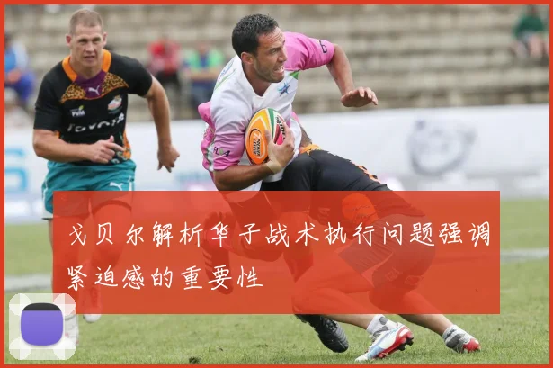 戈贝尔解析华子战术执行问题强调紧迫感的重要性